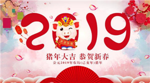 新年将至，恭祝您猪年大吉大利，万事如意！